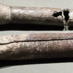 Lead pipes